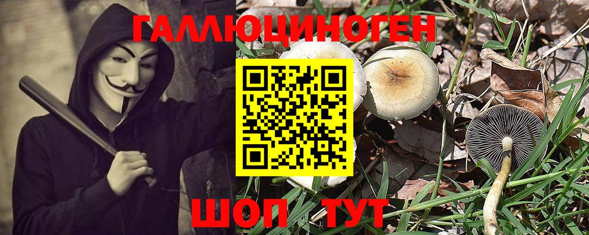 Псилоцибиновые грибы Cubensis  Вход с VPN  Кувандык  Галлюциногенные грибы MAGIC MUSHROOMS 